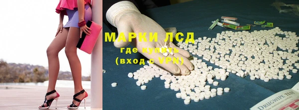 винт Алзамай