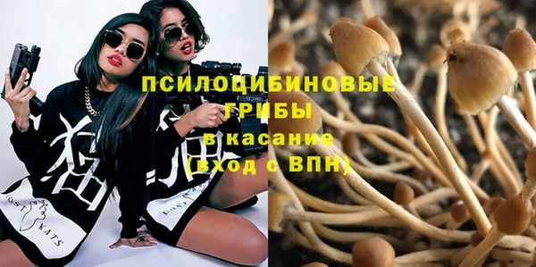 шишки Алексин