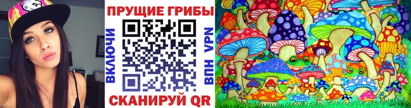 Псилоцибиновые грибы мицелий даркнет сайт Удачный
